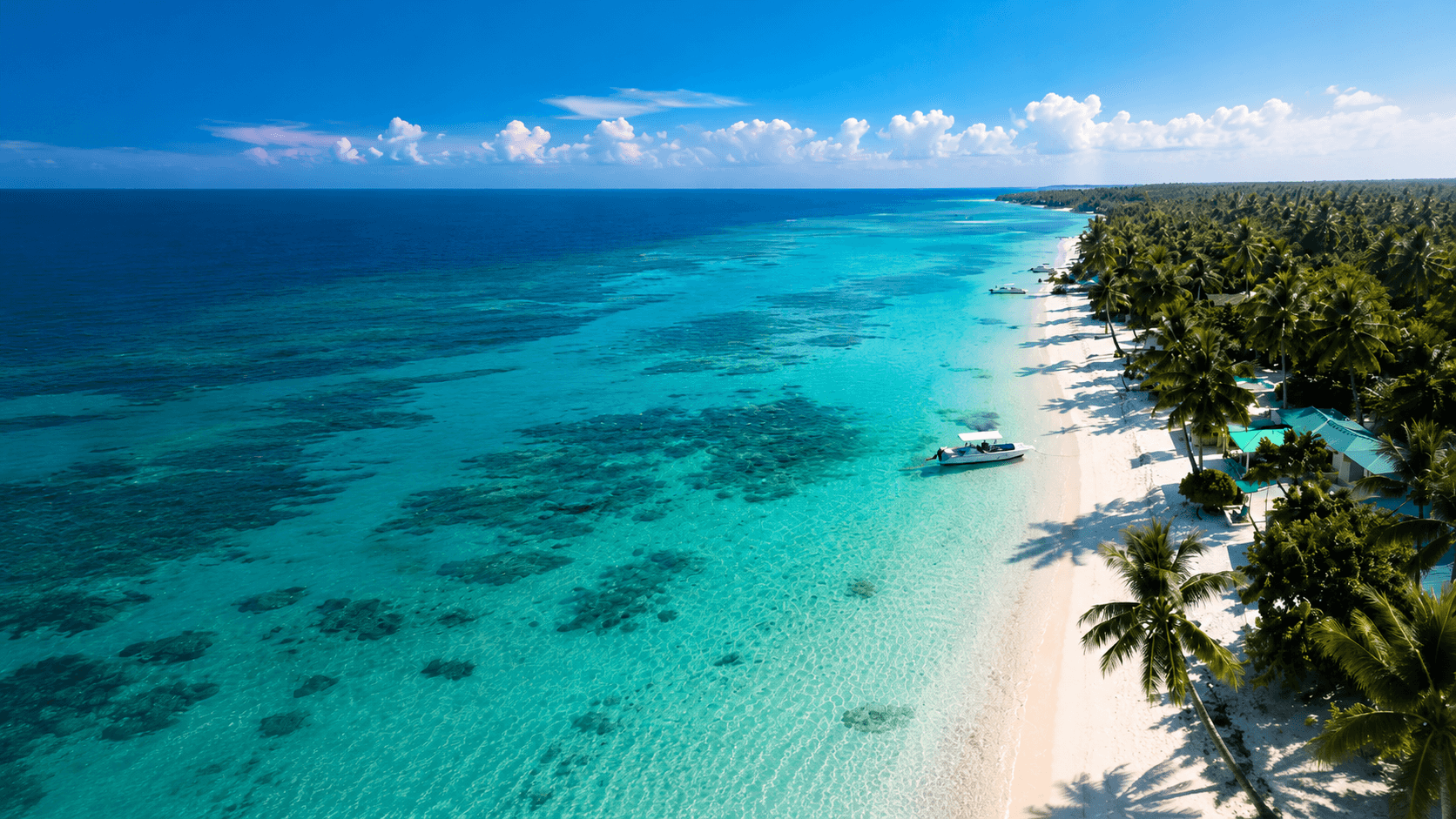 Aerial view of a turquoise tropical coastline and palm-lined beach